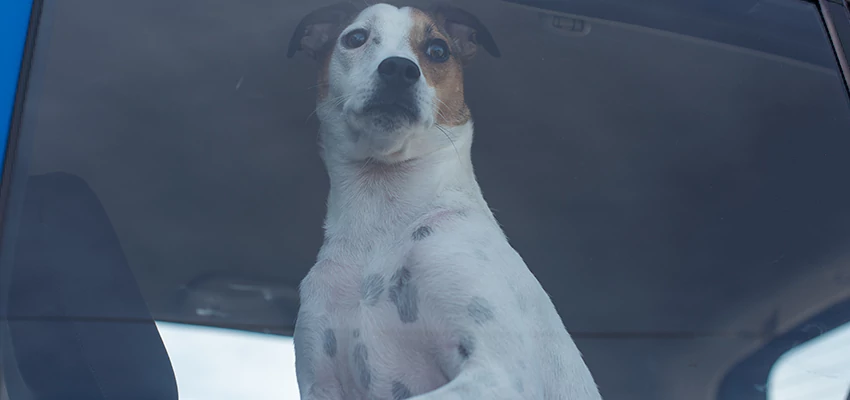 Car Lockout Solutions in Morro Bay, California